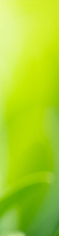 wobei hilft shiatsu banner2